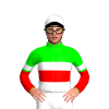 Jockey Silk