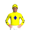 Jockey Silk