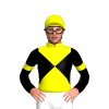 Jockey Silk