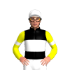Jockey Silk