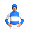 Jockey Silk