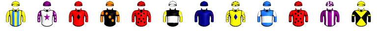 Runner silk