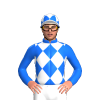 Jockey Silk