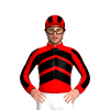 Jockey Silk