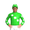 Jockey Silk