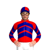 Jockey Silk