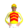 Jockey Silk
