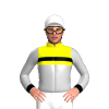 Jockey Silk