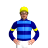 Jockey Silk