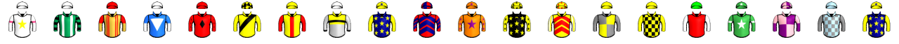 Runner silk