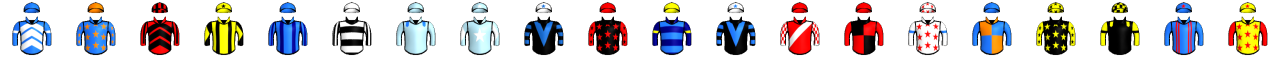 Runner silk