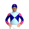 Jockey Silk