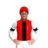 Jockey Silk