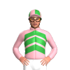 Jockey Silk