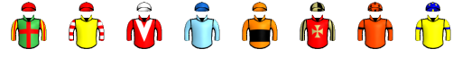 Runner silk