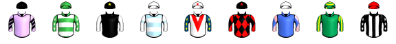 Runner silk
