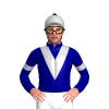 Jockey Silk