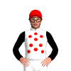Jockey Silk