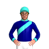 Jockey Silk