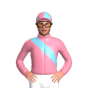 Jockey Silk