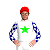 Jockey Silk