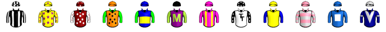 Runner silk