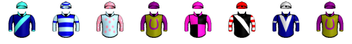 Runner silk