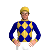 Jockey Silk