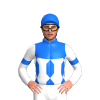 Jockey Silk