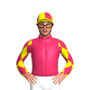 Jockey Silk