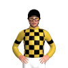Jockey Silk