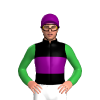 Jockey Silk
