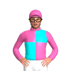 Jockey Silk