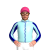 Jockey Silk