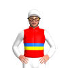 Jockey Silk