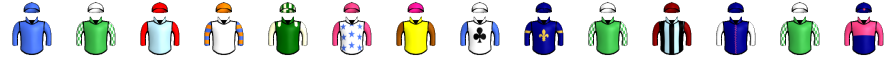 Runner silk