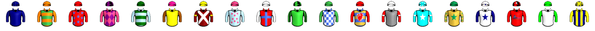 Runner silk