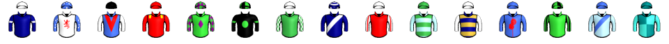 Runner silk