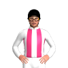 Jockey Silk