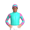 Jockey Silk