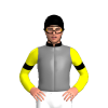 Jockey Silk