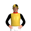 Jockey Silk