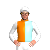 Jockey Silk