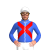 Jockey Silk