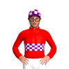 Jockey Silk