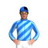 Jockey Silk