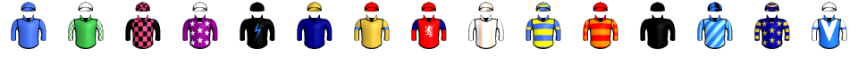 Runner silk