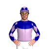 Jockey Silk