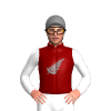 Jockey Silk
