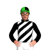 Jockey Silk